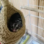 Coastal Seagrass Wall Basket - Image 4